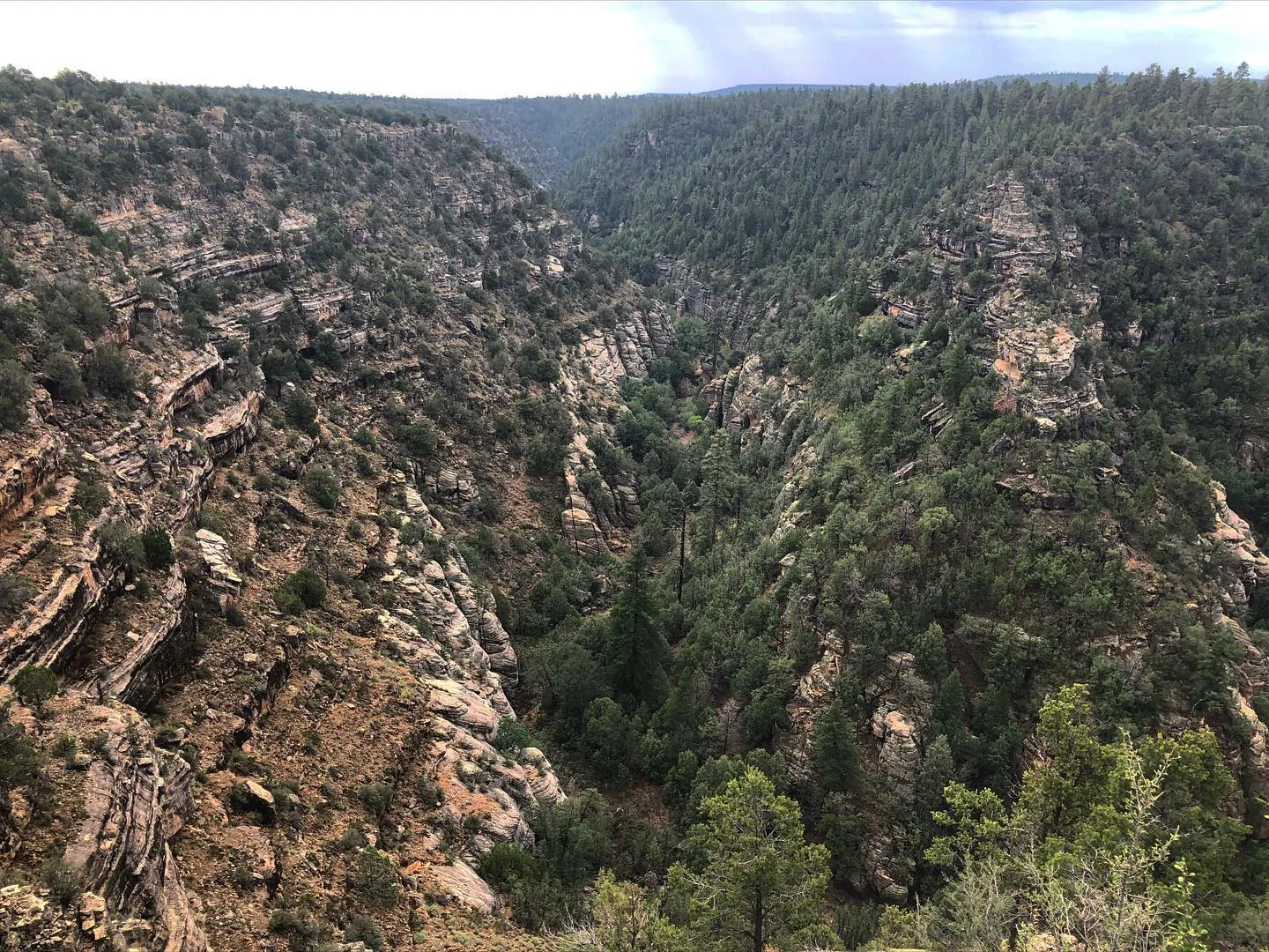 Walnut Canyon National Monument for Walnut Canyon National Monument in Flagstaff