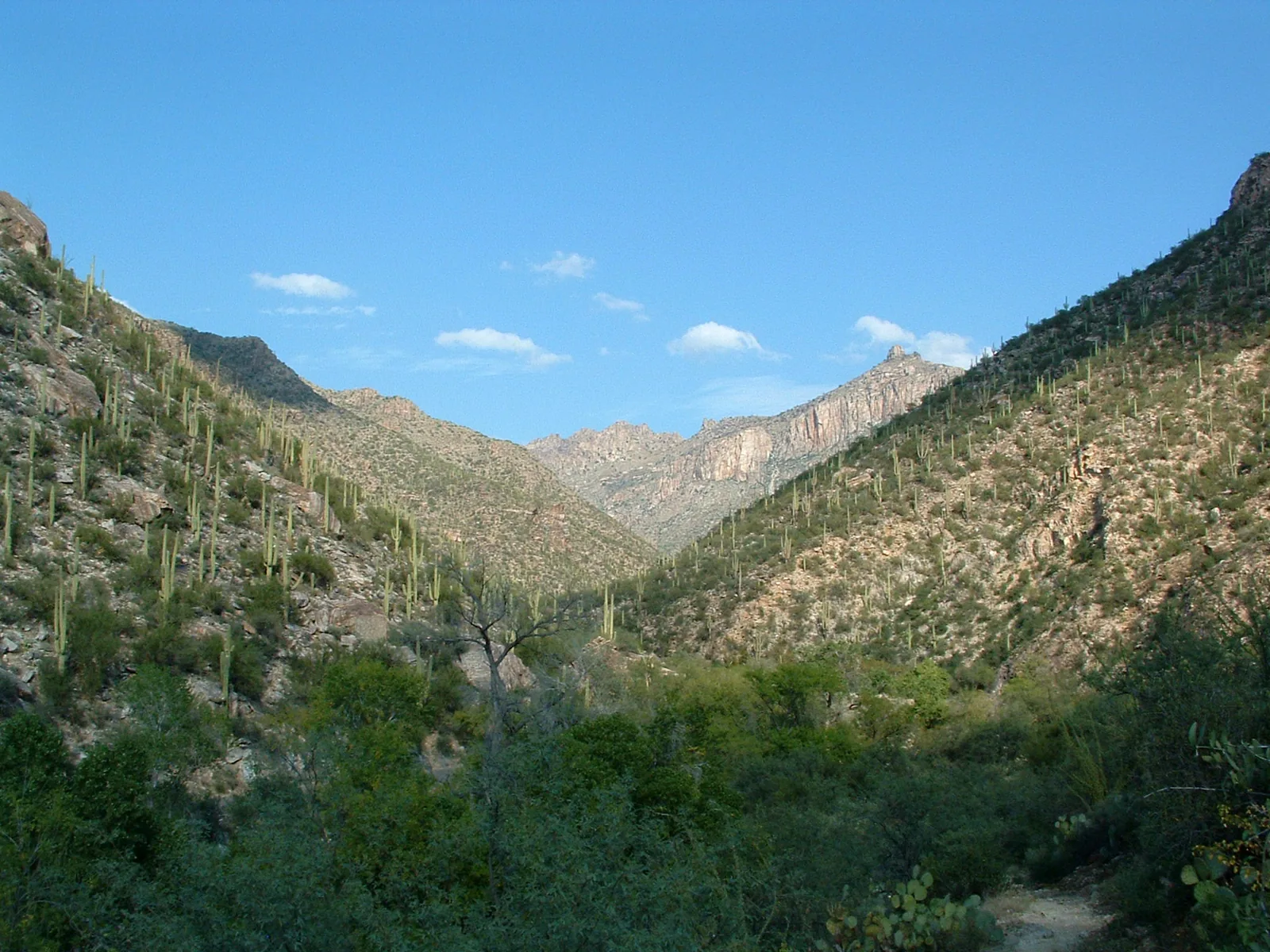 Sabino Canyon for Sabino Canyon Morning Hike in Tucson